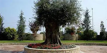 Grand Del Parco - Bergamo Airport 4* סטצאנו